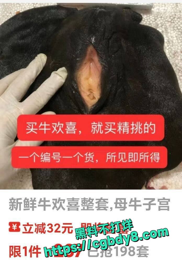 牛欢喜3.jpg
