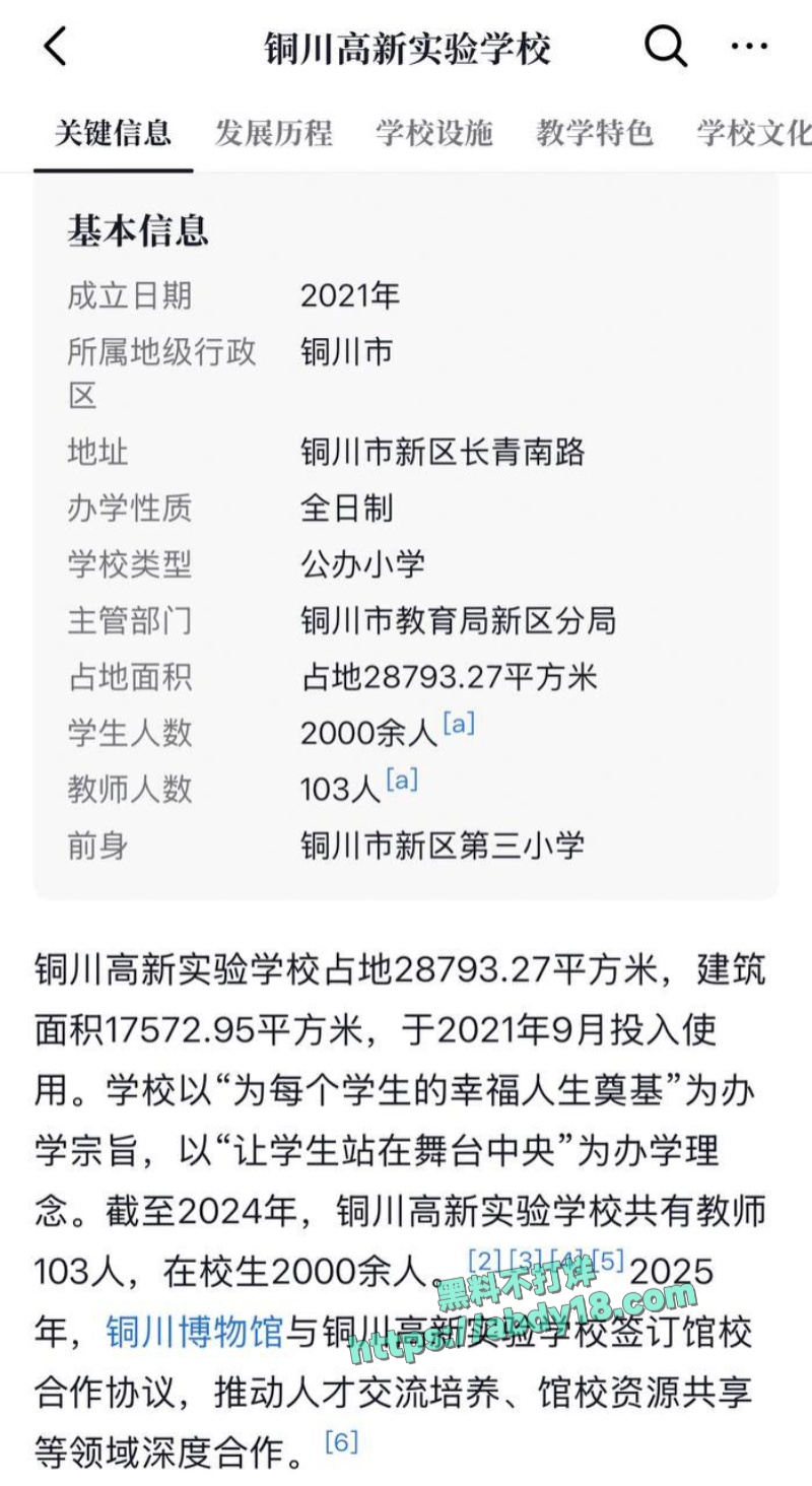 铜川音乐老师李思瞳咒骂学生 3