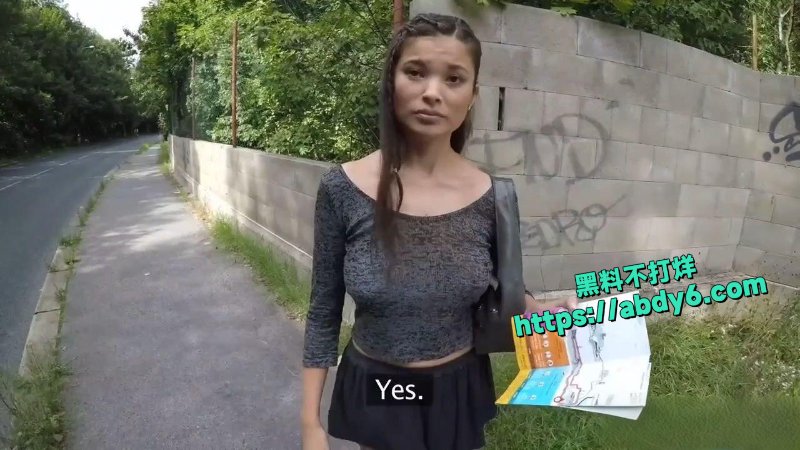 捷克钞能力街头搭讪美乳多毛的迷路亚洲妹子2