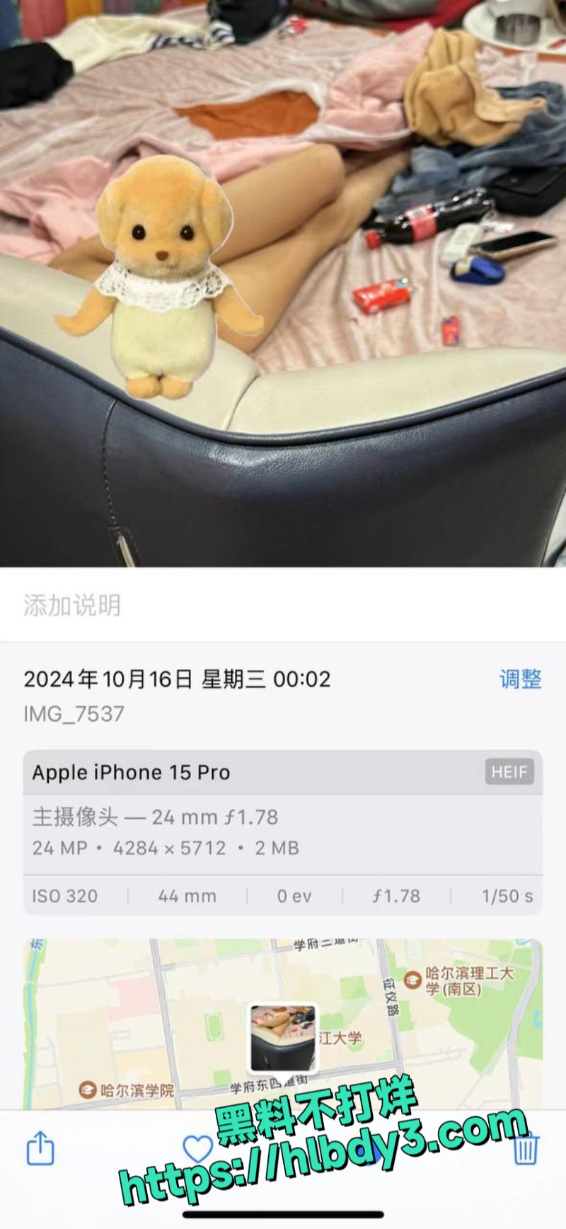 25.jpg