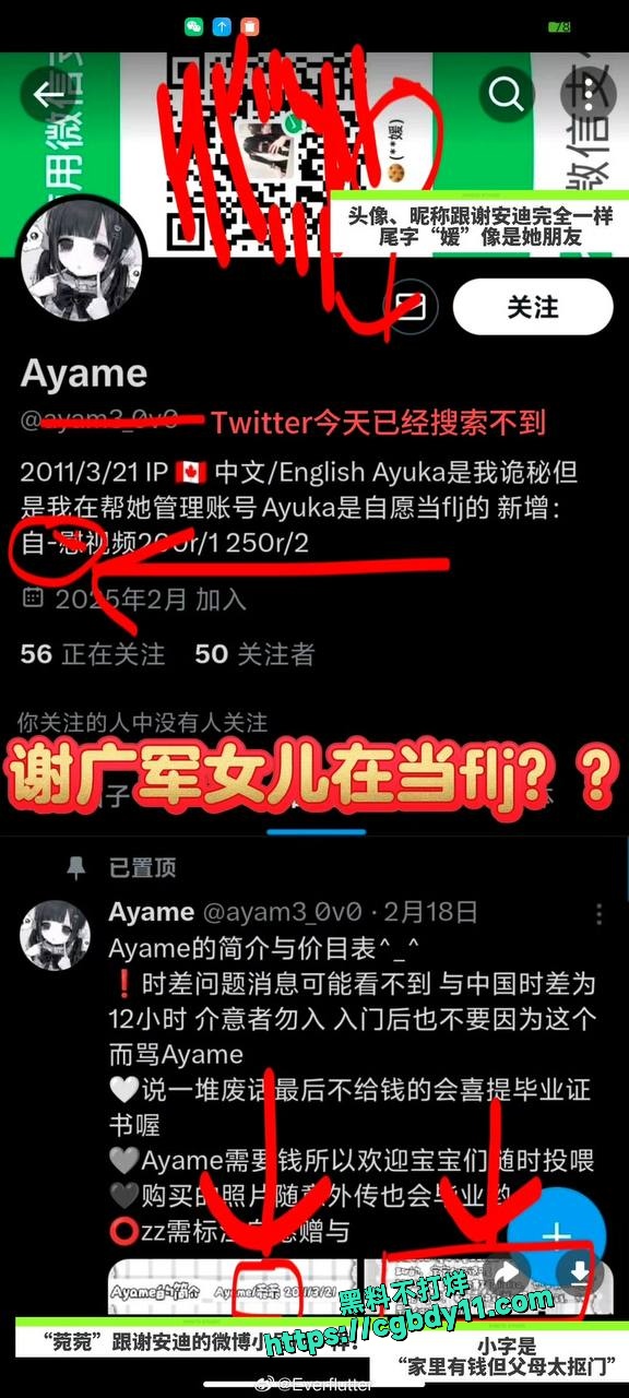 百度副总裁谢广军女儿谢安迪竟在外网当福利姬