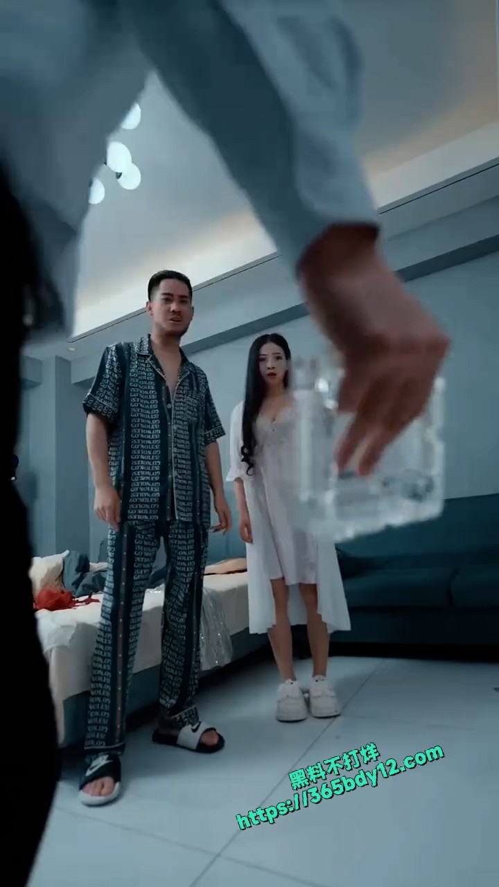 擦边短剧 夫人的秘密   14