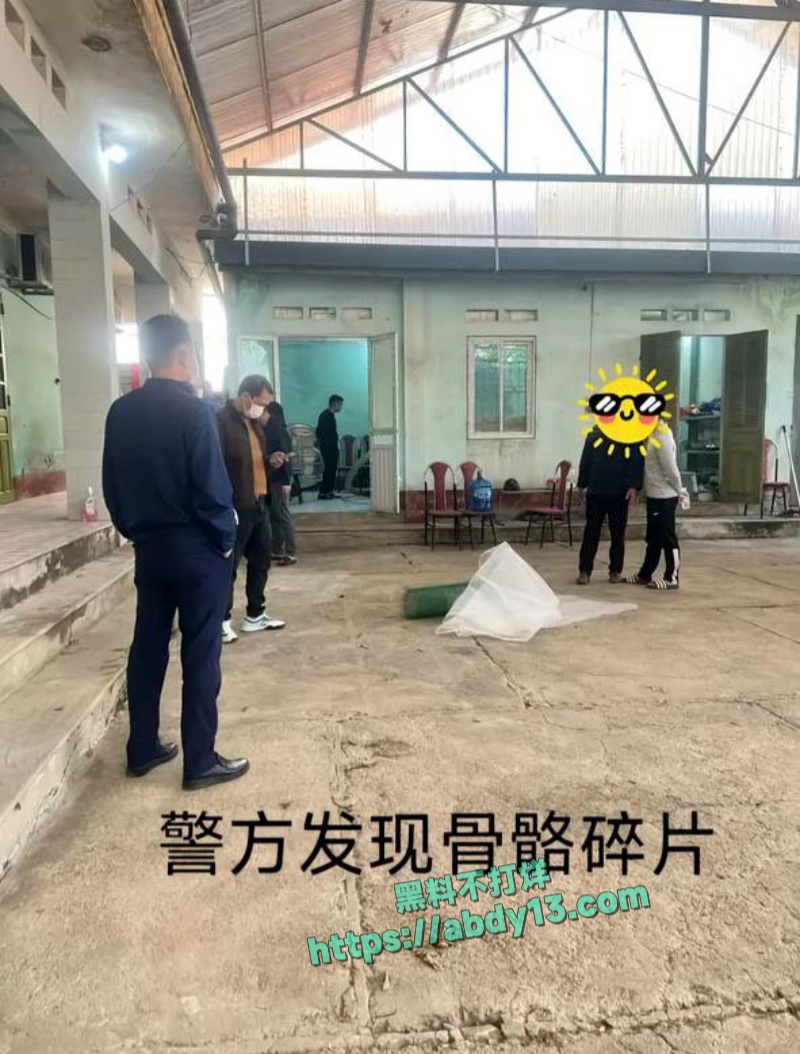 越南屠夫案凶手被捕 8