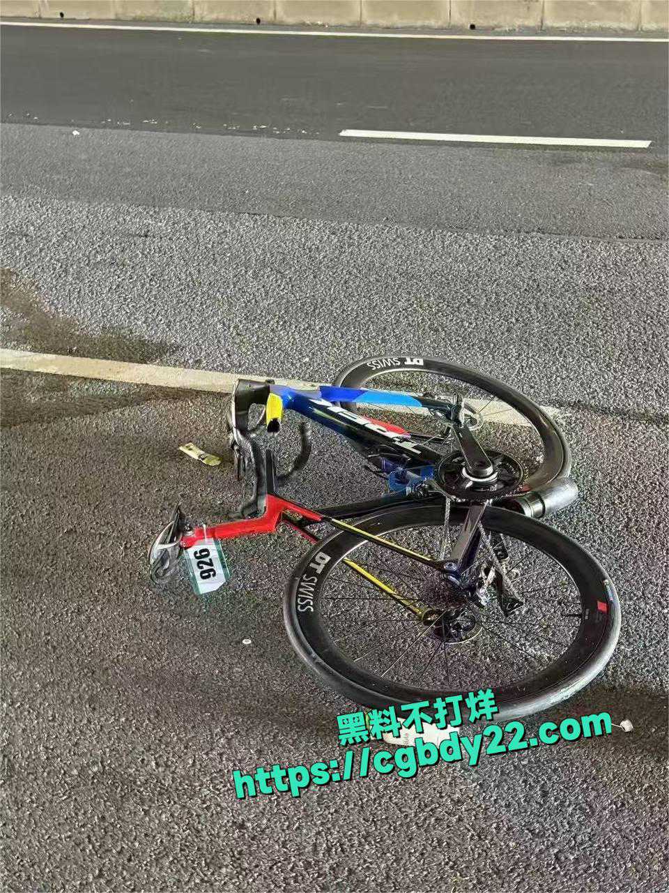 巢湖自行车1