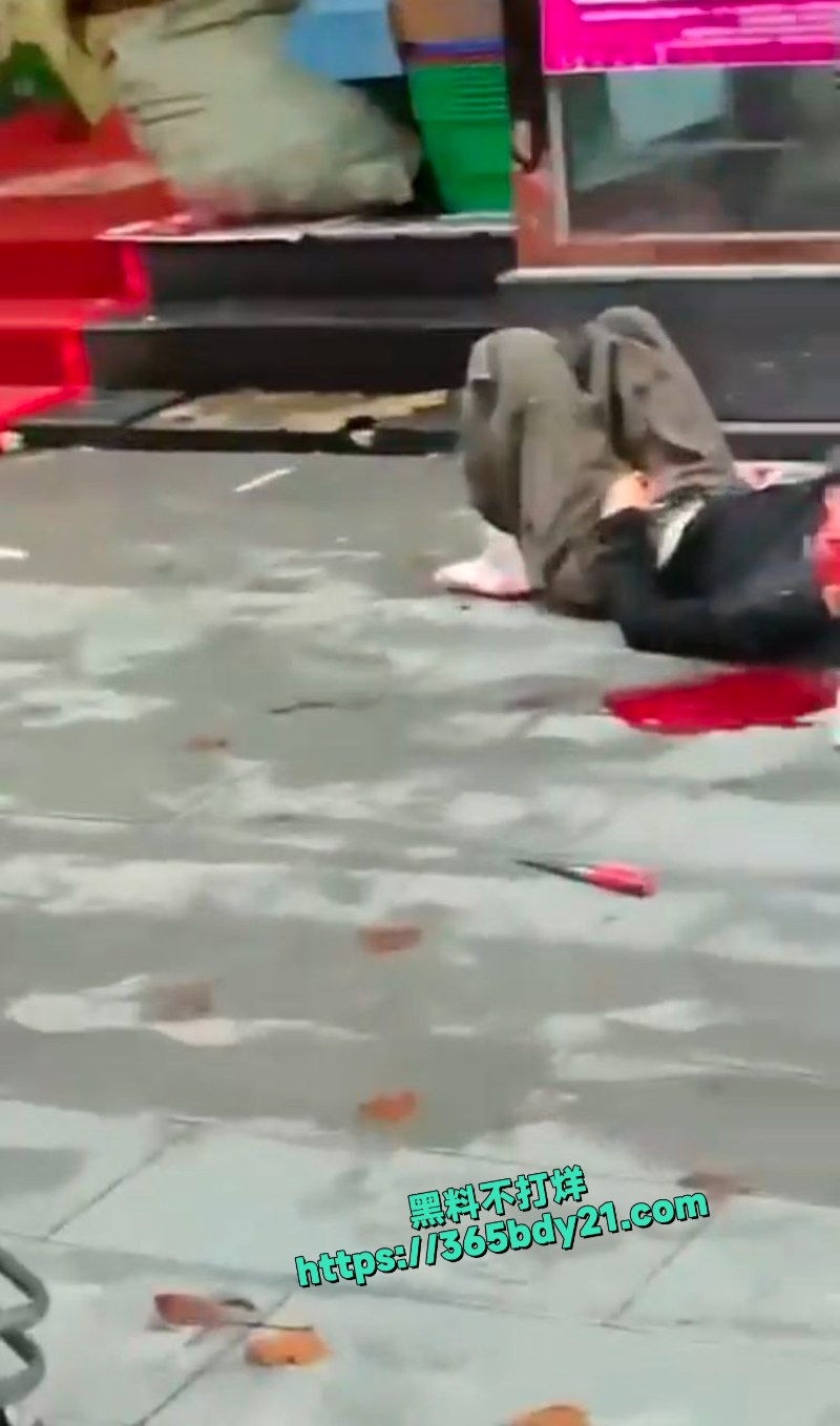 河南郑州恶性杀人案 5