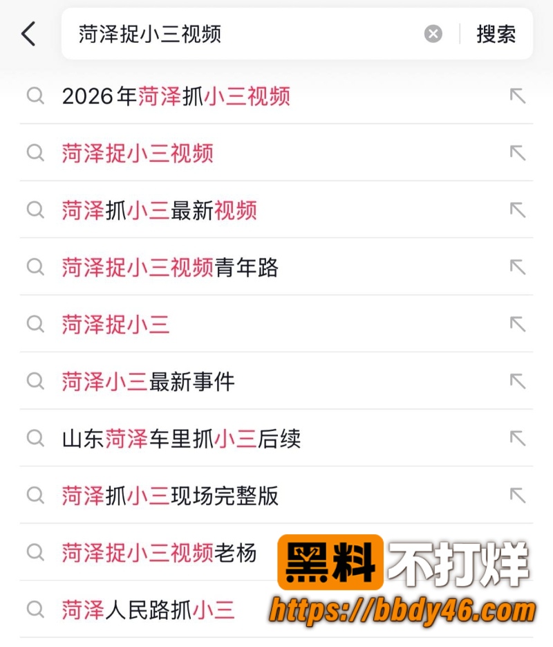 山东菏泽街头抓小三 6