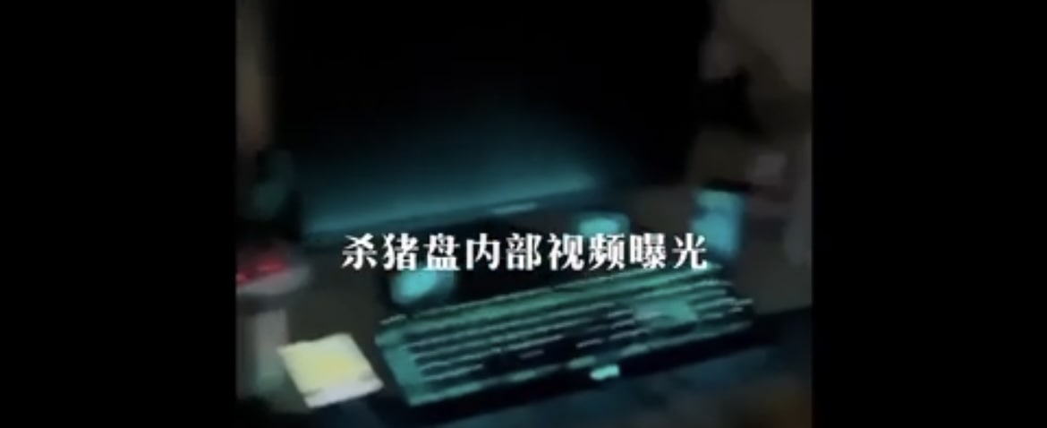 迪拜杀猪盘 卧底偷拍资料视频曝光