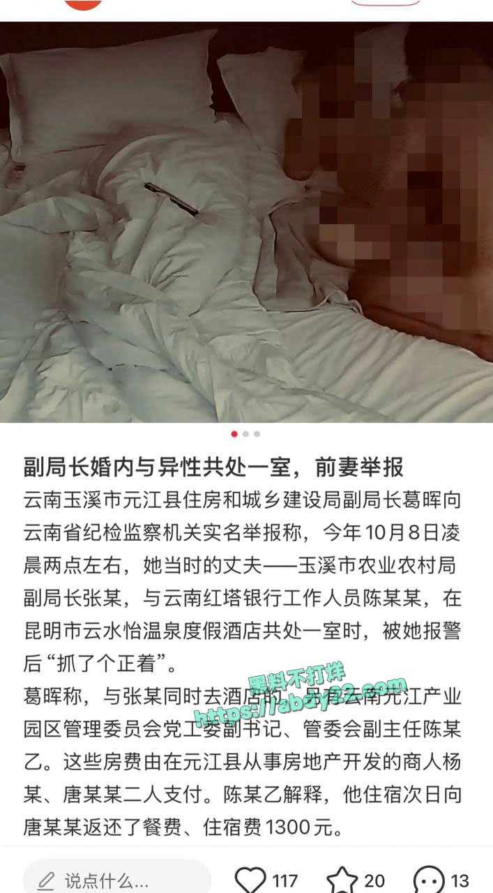 玉溪市元江县农业局副局长张颖出轨 11