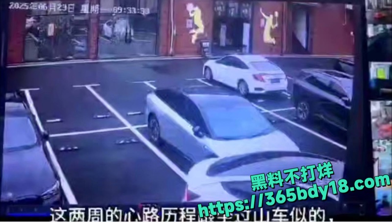 特斯拉大妈撞小鹏P7 1