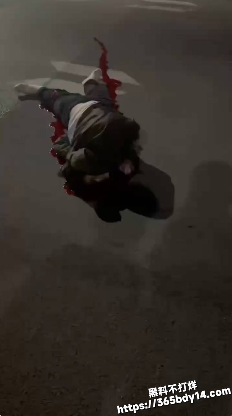 重庆车祸14