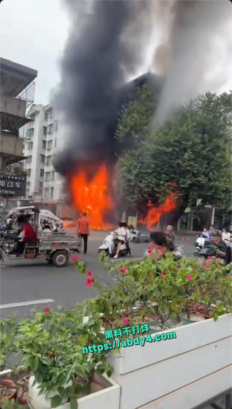 广东揭阳普宁流沙大道宠物店突发火灾 5
