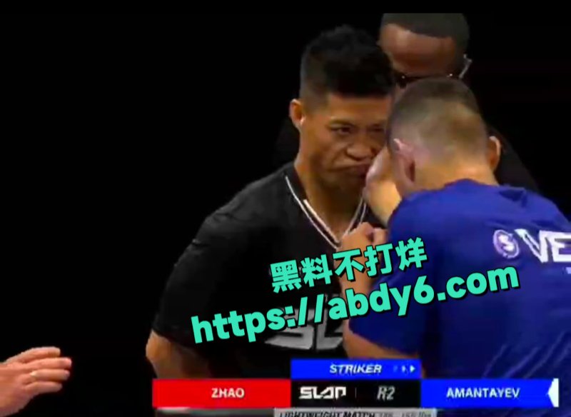 中国通背拳传人赵鸿刚参加UFC扇耳光大赛被对手KO7