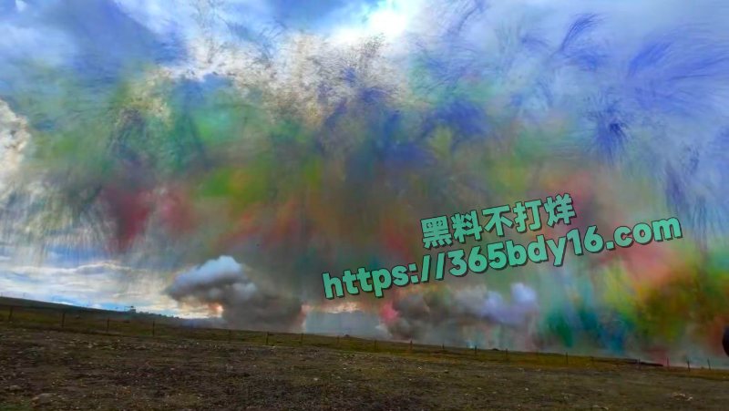 蔡国强升龙烟花秀 8