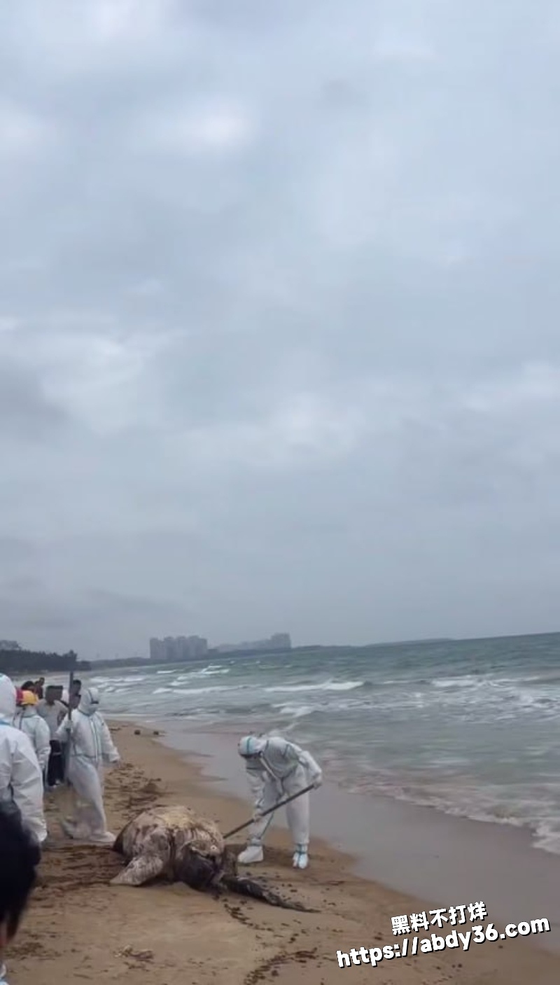 2026年2月多地突发事件合集 1