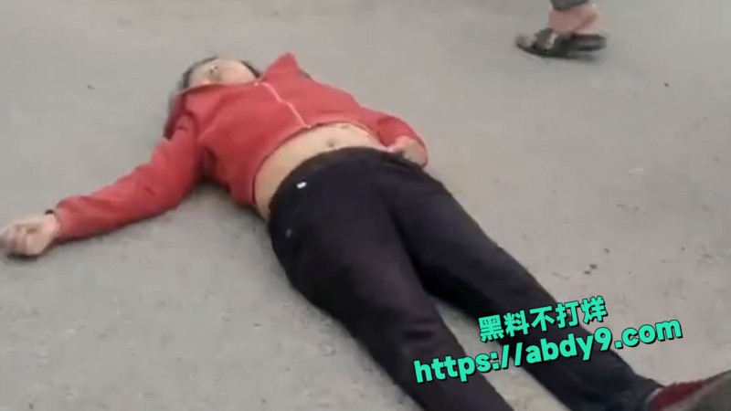 广东怀集桐光村村民血战强征队 1