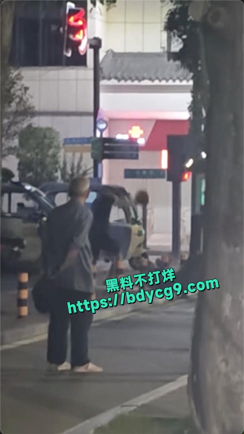 河南一男子持头盔当街暴打拾荒老人3