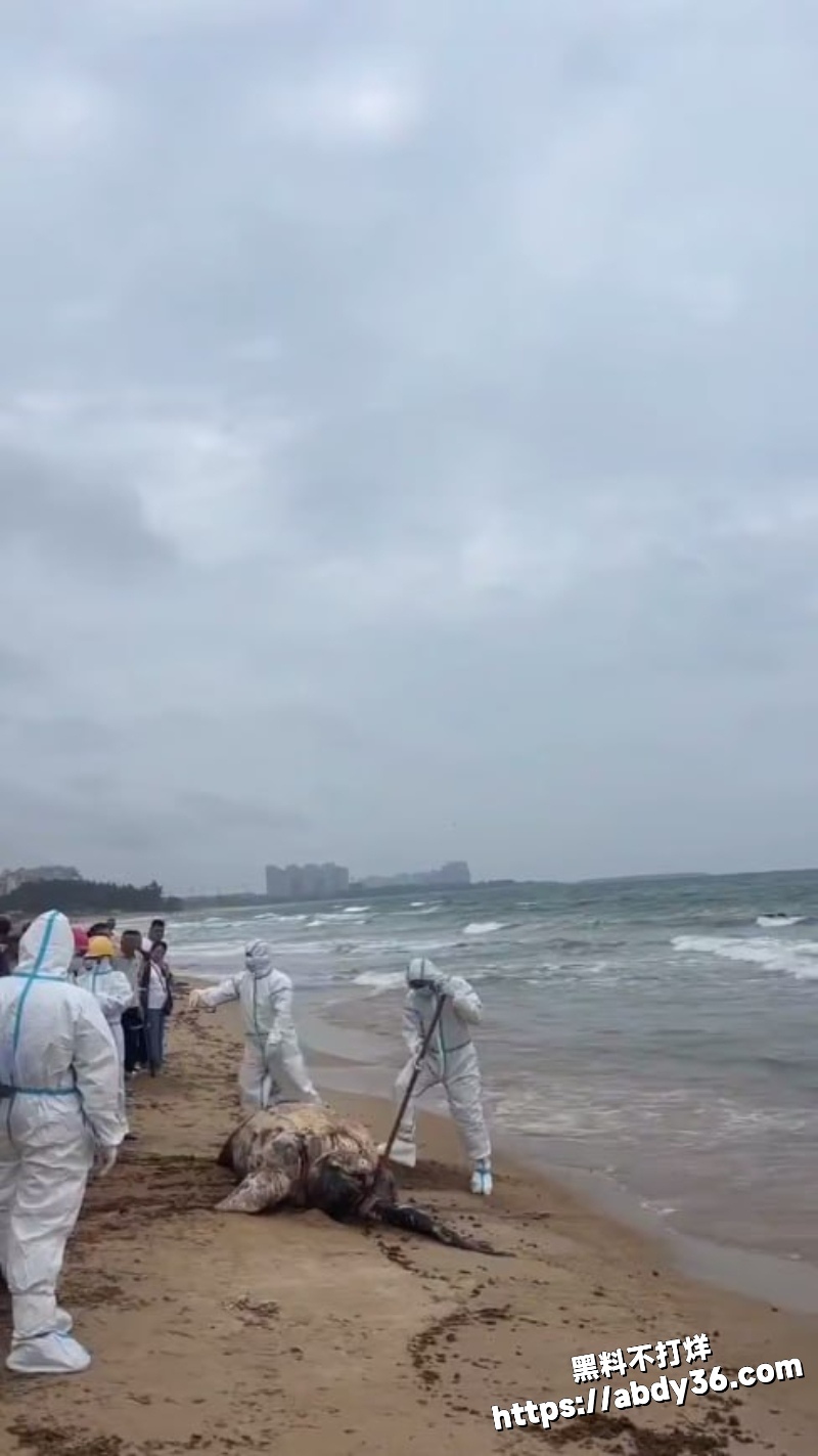 2026年2月多地突发事件合集 4