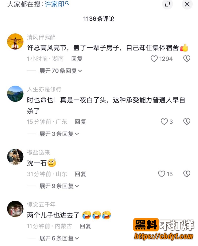 许家印被判无期徒刑2