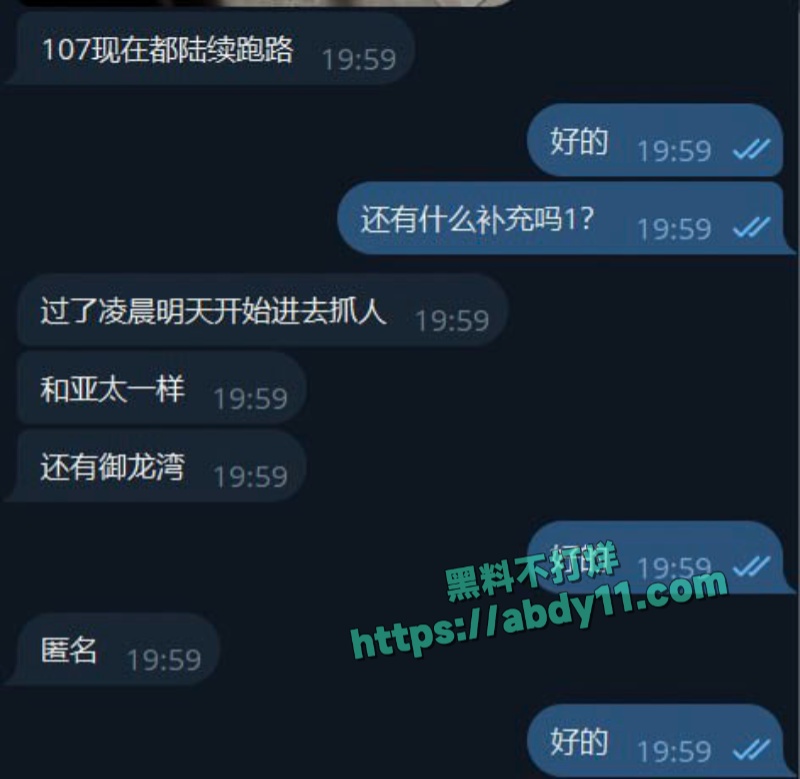 缅甸诈骗头目佘智江引渡回国 4