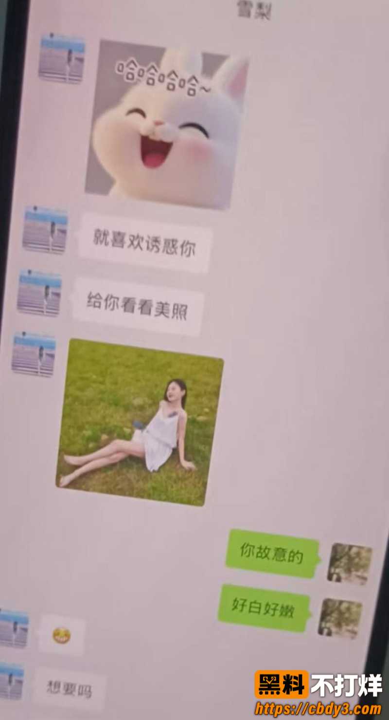 雪梨知三当三5