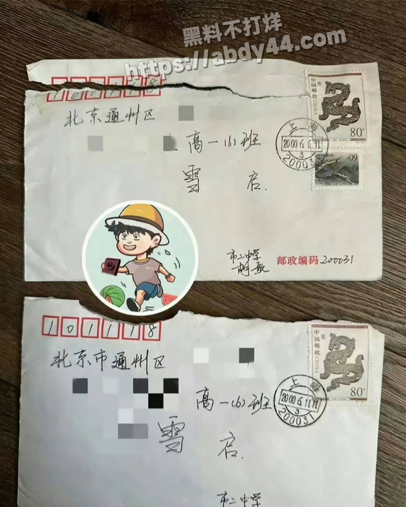 胡歌的瓜10