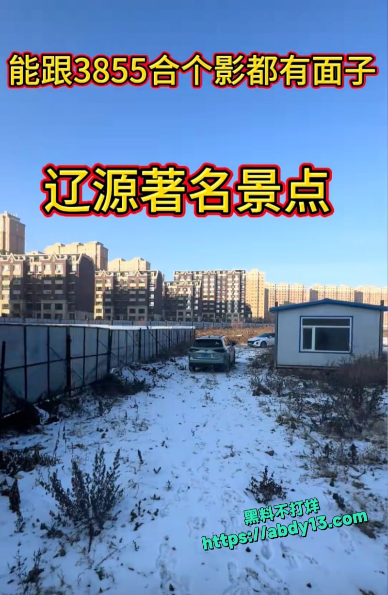 吉林熟男熟女野外偷情被当场抓包 5