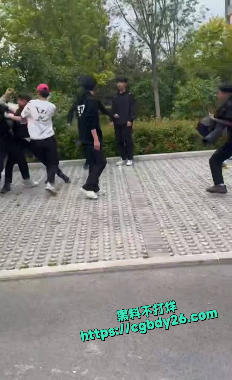 精神小伙打架现场4