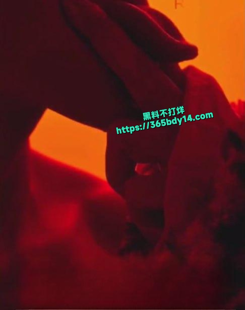 TS专业户7