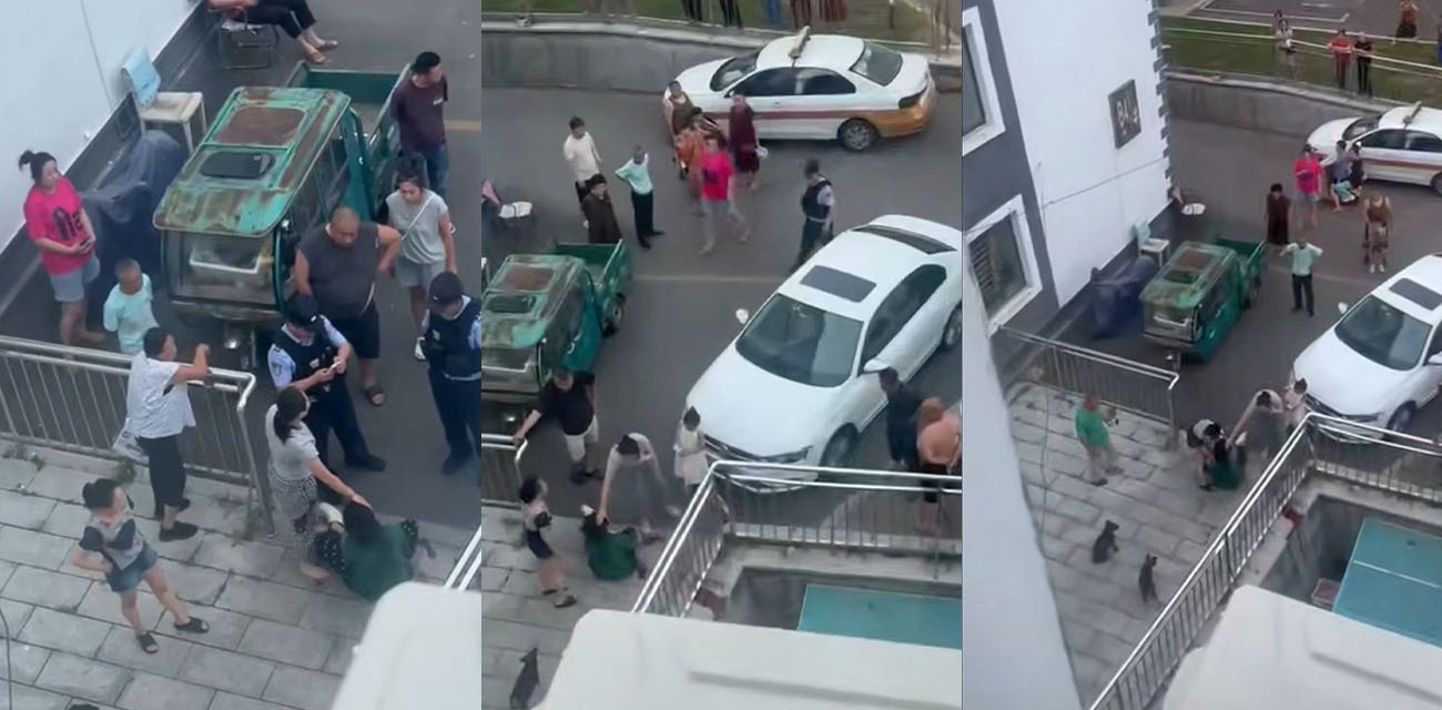辽宁通化集安一女子遛狗被打 两只小狗没牵绳吓到小孩 口角之争变为肢体冲突