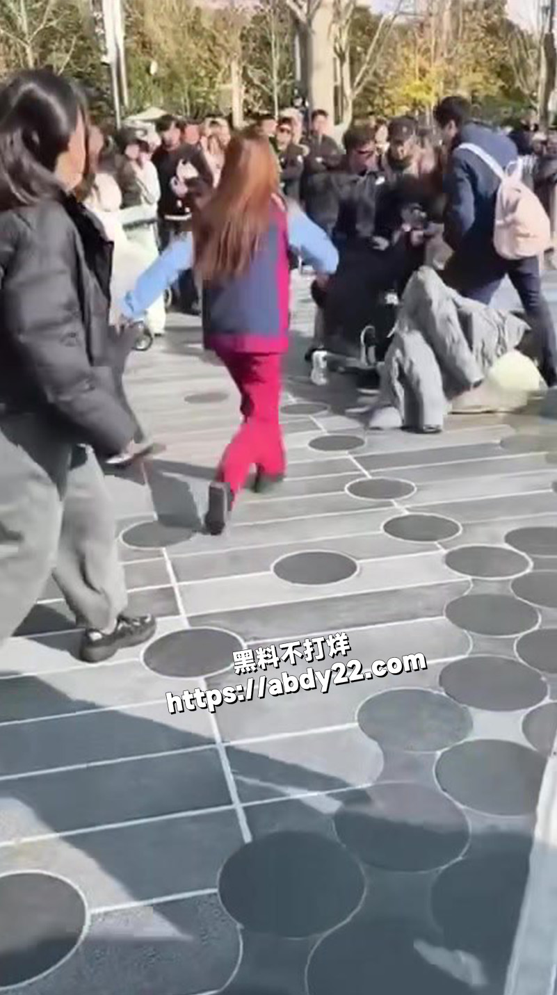 在上海迪士尼公园4