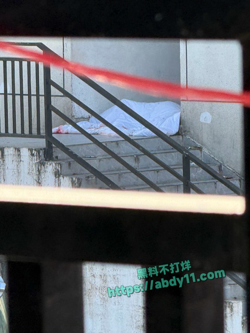 缅甸妙瓦底顺达园区惨案 8