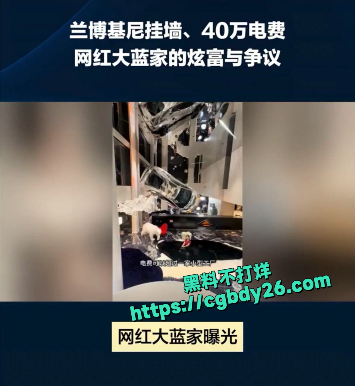 大蓝老婆网上炫富家里一年电费40多万被网友举报封号3