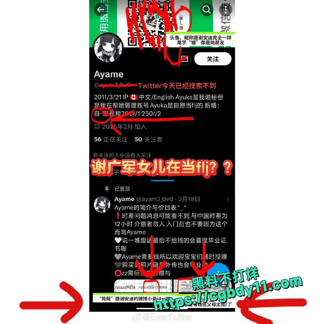 百度副总裁谢广军女儿谢安迪竟在外网当福利姬