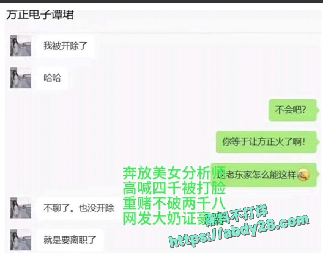4000点分析师谭珺爆料怀了广发基金杨冬孩子 22