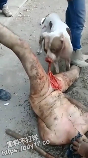 墨西哥强奸犯遭黑帮私刑.jpg