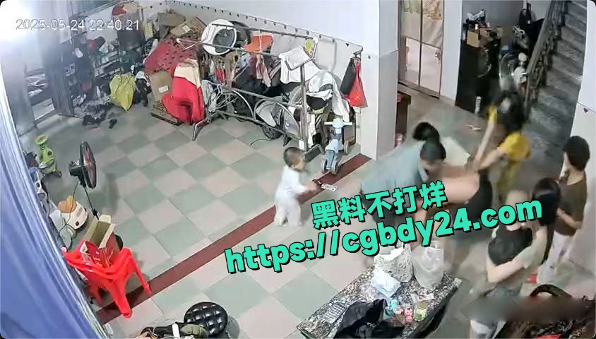 广东潮汕家庭纠纷2