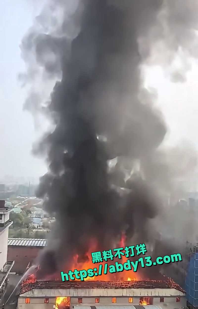 成都八里庄地铁站口突发大火2