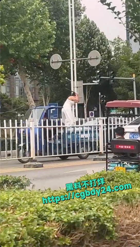 河南 洛阳 多段女子在机动车道上持械打砸多辆车的视频引发关注 4