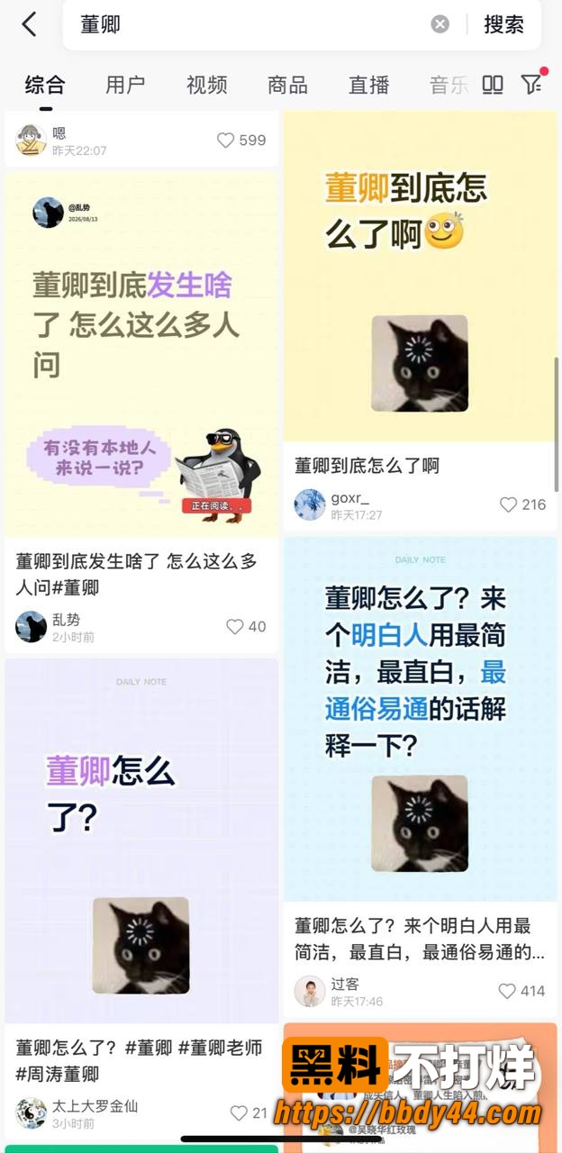 董卿4