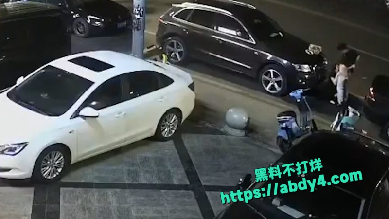 野鸳鸯精虫上脑 路边车旁激情啪啪  5