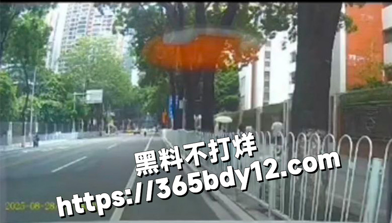 女乘客嫌弃司机5
