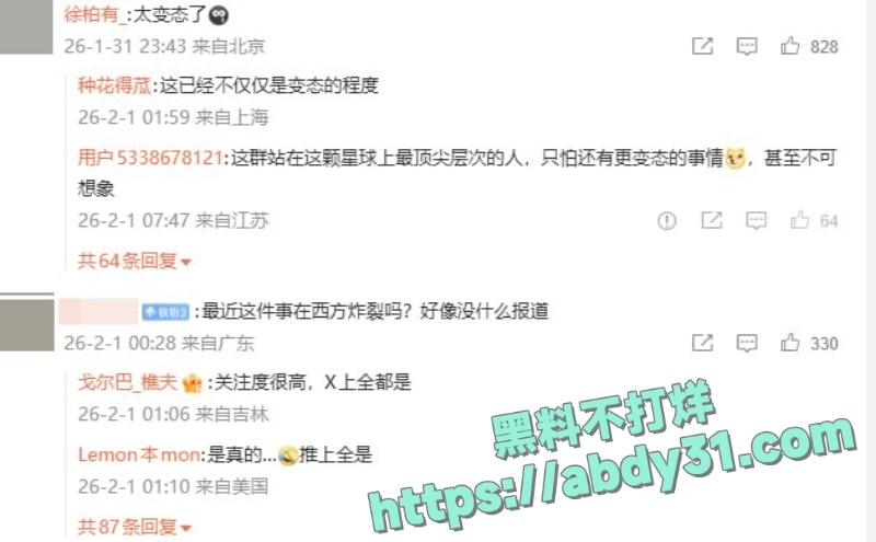 爱泼斯坦档案最新曝光 31