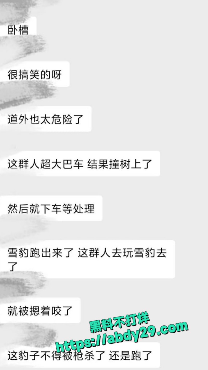新疆可可托海发生雪豹伤人事件 14