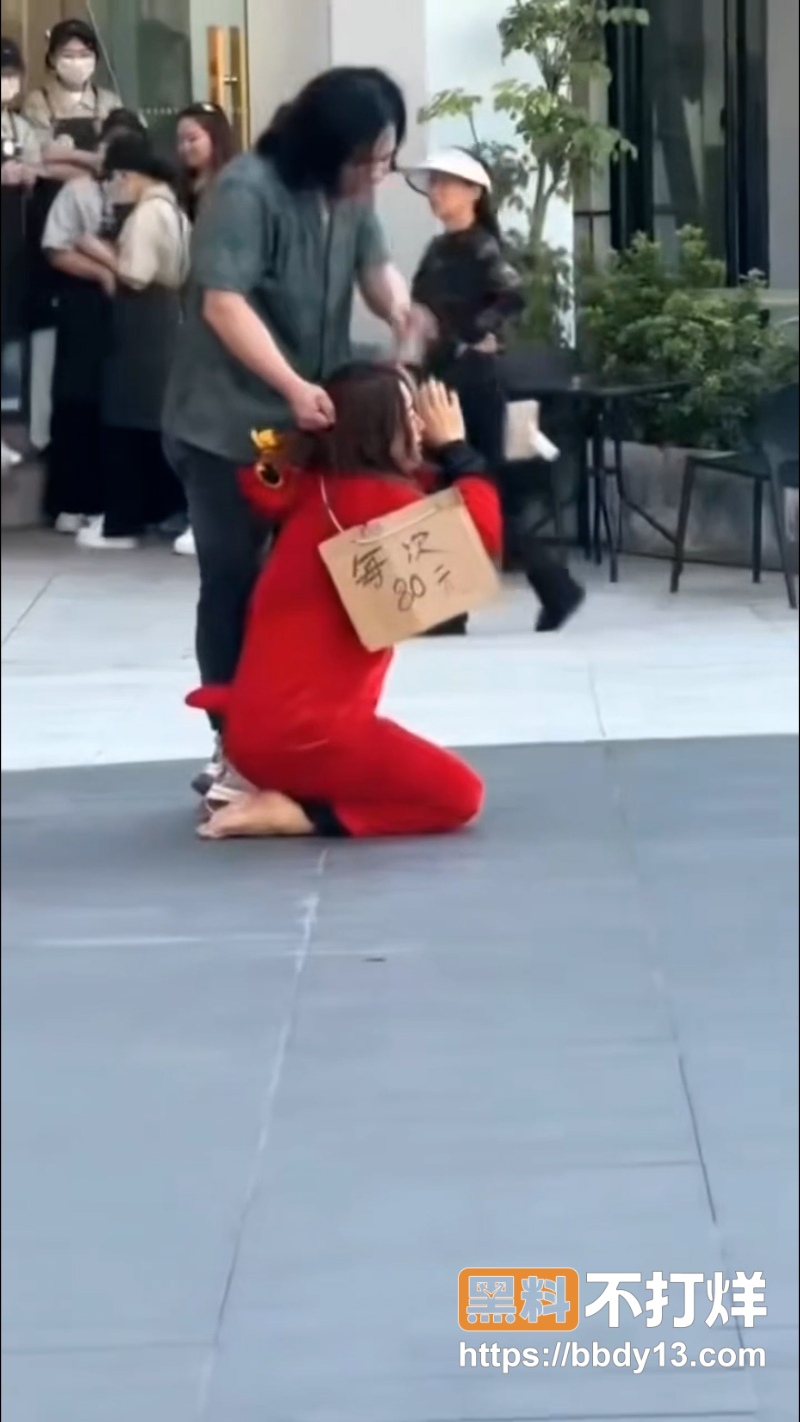 主人的任务   3