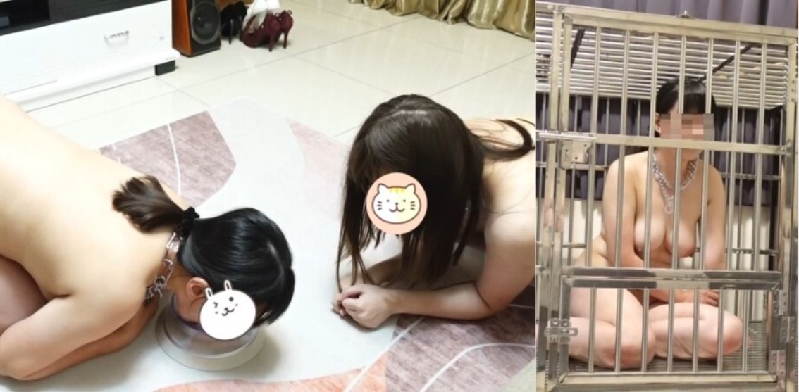 【奴隶物语】女奴兔兔 体罚贞操带 狗链电击口爆各种蹂躏骚母狗