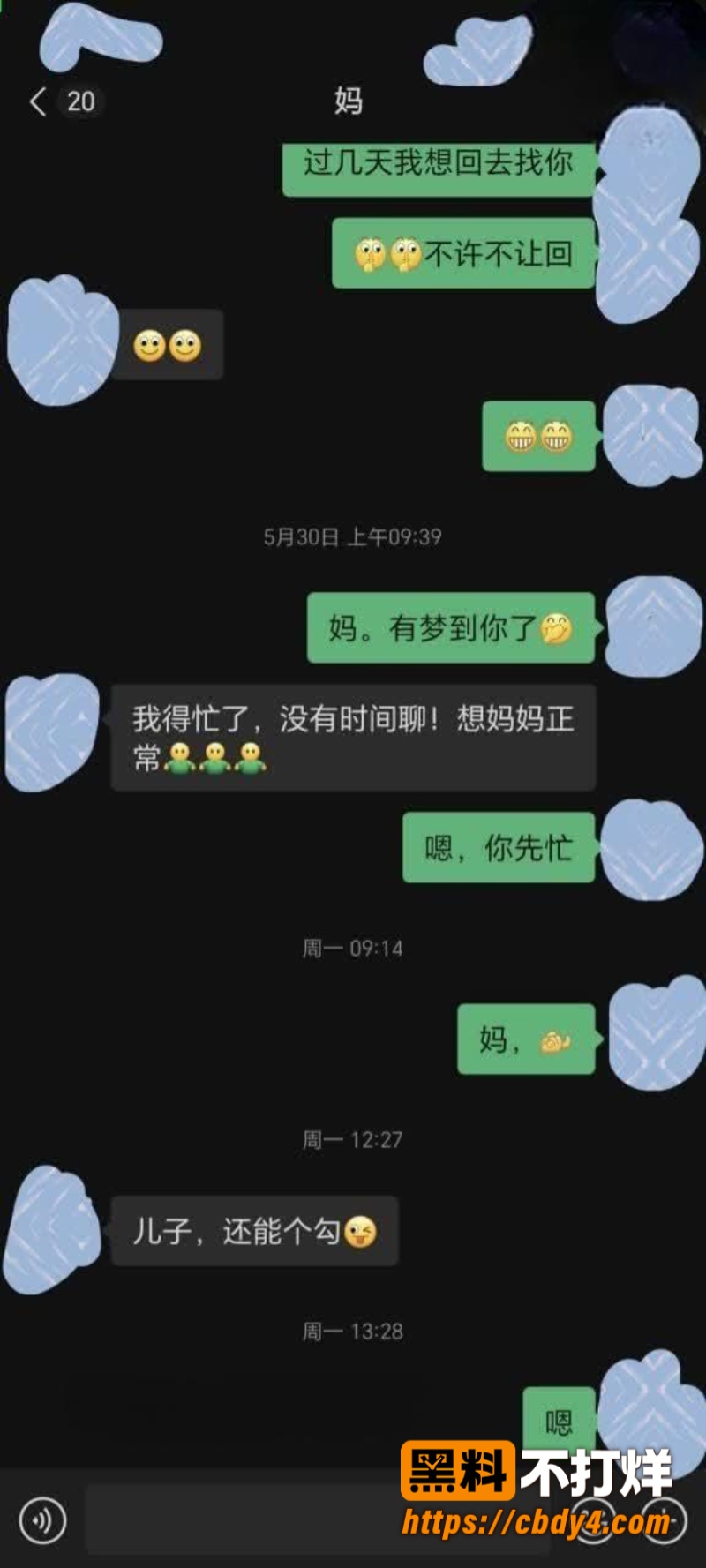 甘肃母子3