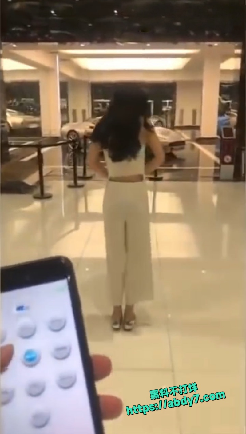 北京富二代约绿茶婊 欣杨 车展大胆调教6