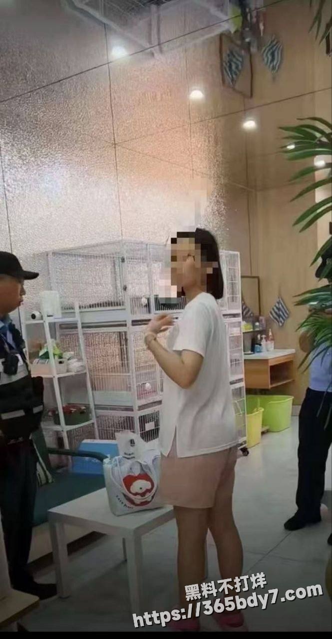 辽宁沈阳女子猫咖内虐猫致死案件2