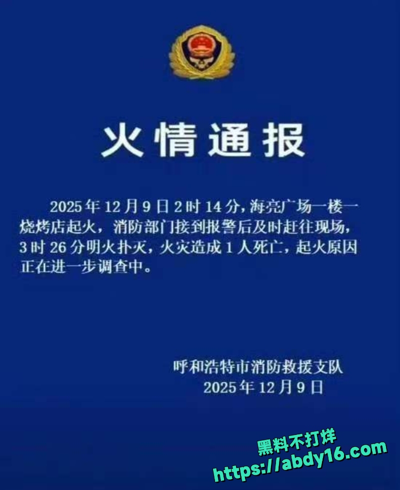 呼和浩特海亮广场烧烤店大火1