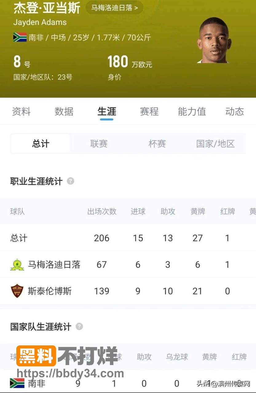 亚当斯12